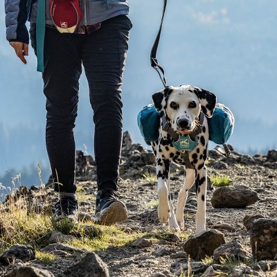 Big Baxter Coastal Blue Dog Backpack with Saddlebag