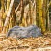 Outdoor Natural Artificial Diamond Rock Decor for Gardens, Lawns, and Landscapes - 4 of 4