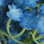 dark blue