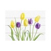 Trademark Fine Art Mandy Disher Tulip Wood Slat Art - 3 of 4