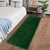 Fluffy Area Rug- Shag Area Rug for Living Room, Shaggy Large Indoor Thick Living Room Carpet with Non-Slip Backing, Soft Plush Carpet - 2 of 4
