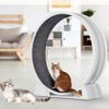 GustoWave 45" Cat Exercise Wheel – Large ABS Running Wheel with Pedometer for Indoor Cats & Small Animals, Weight Loss & Active Play - 2 of 4