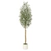 Artificial Olive Trees  - Realistic Faux Plants with Wood Trunks in White Planters for Living Room & Home Deco - 2 of 4