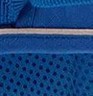 royal blue w/ leash