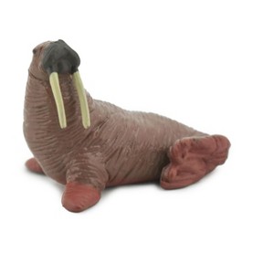 Collectible Wildlife Gifts | Walrus, Pinniped, Marine Mammal, Museum Quality, Hand Painted, Rubber Animal, Toy, Model, Gift, 2 1/4" CH479 BB153 - 1 of 4