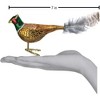 Old World Christmas Glass Blown Ornament for Christmas Tree, Pheasant - 3 of 3