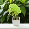Unique Bargains Artificial Plants Ceramic Pot 2.01"x2.01"x5.51" 1 Pc - 2 of 4
