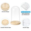 Unique Bargains Wooden Base Plants Home Decor Glass Bell Jar Display Case - 3 of 4