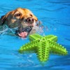 Cesicia Lake Blue Dog Toy, Molar Stick Leaking Food Dog Toothbrush - 3 of 4