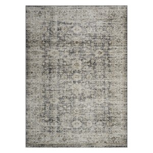 COZONY Washable Area Rug, Non-Slip Low Pile Floral Carpet, Indoor Rug for Living Room, Bedroom, Kitchen, Hallway - 1 of 4