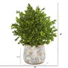 Nearly Natural 18-in Sweet Grass Artificial Plant in Floral Vase (Indoor/Outdoor) - 2 of 2