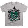 Boys' Short Sleeve Harry Potter Slytherin Crest T-Shirt - 2 of 4