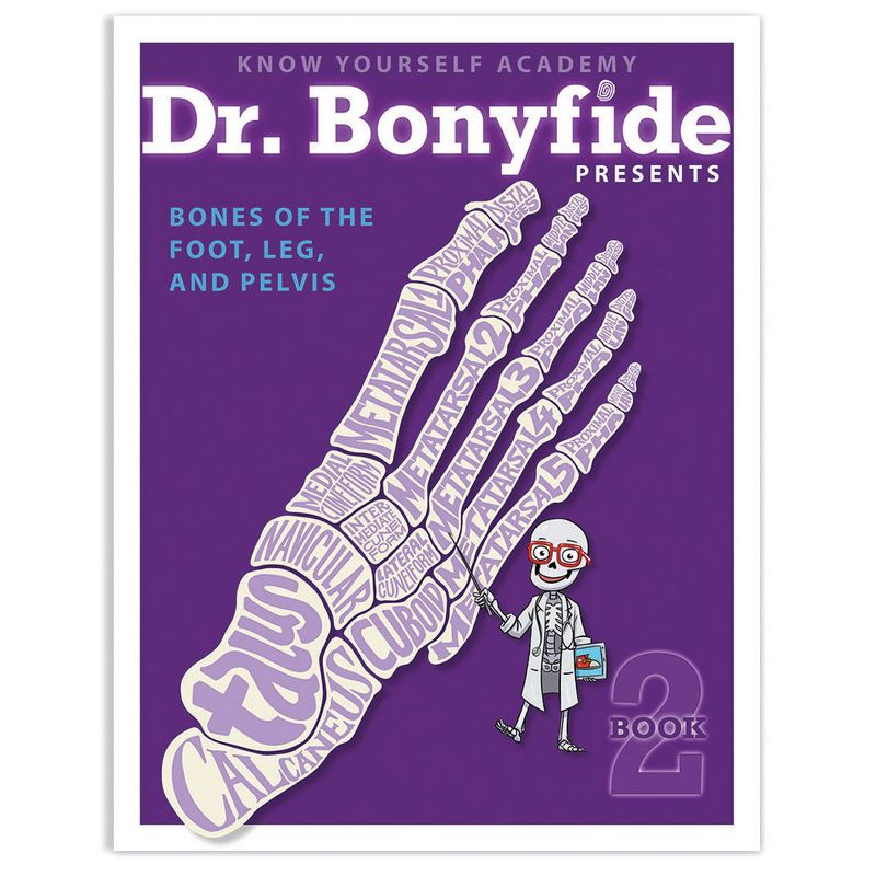 Know Yourself 4 Book Set: Dr. Bonyfide Presents 206 Bones of the Human Body, 4 of 7
