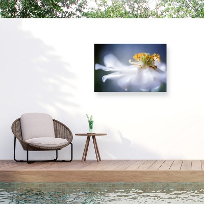 Trademark Fine Art - Mandy Disher Anemone 1 Matted Framed Art