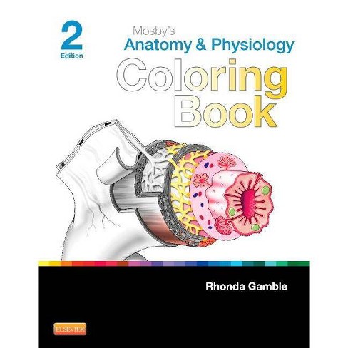 Download Mosby S Anatomy Physiology Coloring Book 2nd Edition Paperback Target
