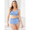 Catherines Cotton/Spandex Panty 3-Pack - 3 of 4