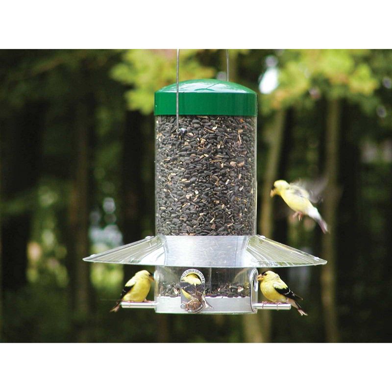 Birds Choice 12&#34; Classic Hanging Tube Feeder, 4 of 5