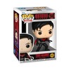 Funko Pop! Batman Beyond: Terry McGinnis Chase Variant #560 - 3 of 3