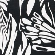 black white abstract