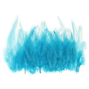 Unique Bargains DIY Dream Catcher Earrings Saddle Hackle Rooster Feathers 50 Pcs - 1 of 4