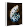 Stupell Industries Dark Nautilus Shell, 11" x 14" - 3 of 4