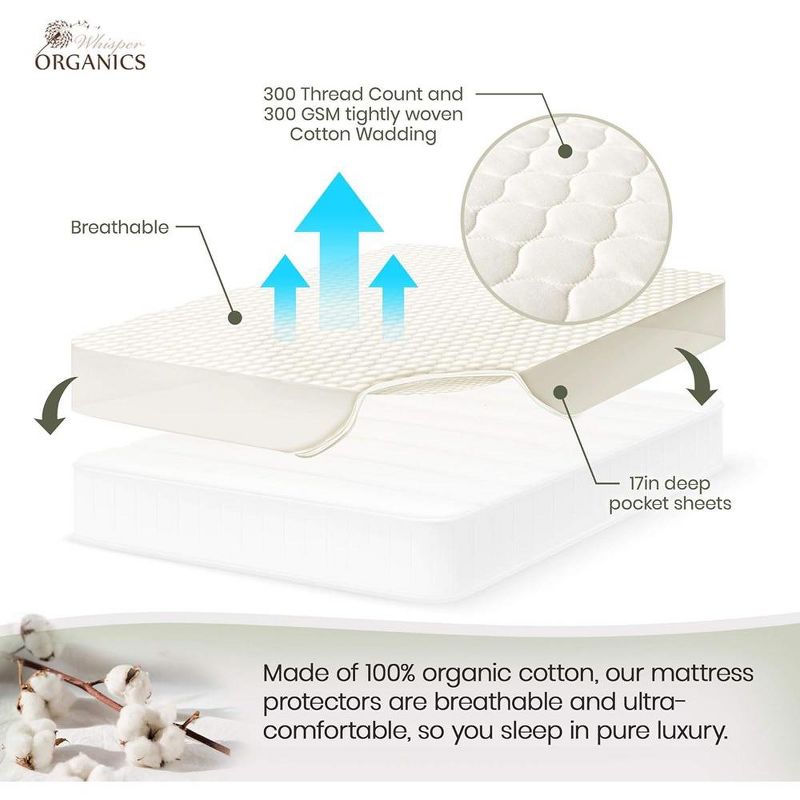Whisper Organics, 100% Organic Cotton Mattress Protector, a Breathable, Quilted, Fitted Mattress Pad Cover, GOTS Certified, Ivory Color, 5 of 7