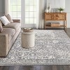 Vintage Rug Light Grey Oriental Floral Door Mat Medallion Small Carpet Traditional Accent for Entrance Living Room Kitchen - 2 of 4