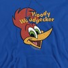 Woody Woodpecker Retro Logo Adult Pull-Over Hoodie - 2 of 4