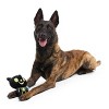 BARK Afraid of the Bark Halloween CAT Scan Kitty Animal Plush Dog Toy - 3 of 4