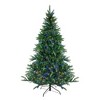 Northlight Real Touch™️ Pre-Lit Full Noble Fir Artificial Christmas Tree - 6.5' - Dual Color LED Lights - 2 of 4