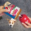 KONG Easy Treat Peanut Butter • Super Pet Market