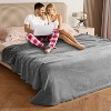 Catalonia Waterproof Bed Blanket for Couch Bed, Cozy Fleece Lining Throws for Bed Essentials - 3 of 4