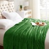 Inhand Fleece Throw Blanket for Couch Sofa or Bed, 50" x 60" Soft Fuzzy Plush Blanket, Luxury Flannel Blanket, Super Cozy and Comfy for All Seasons - 3 of 4