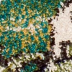 forest green/light blue