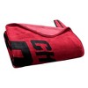NBA Chicago Bulls 60" x 80" Raschel Throw Blanket - 3 of 4