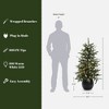 LuxenHome 4Ft Pre-Lit Green Artificial Pine Christmas Tree with Pinecones and Round Black Pot - 4 of 4