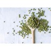 Organic Mung Beans - Sprouting, Non-GMO, Kosher, Sirtfood - 3 of 4