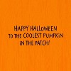Juvenile Halloween Card Cat with Pumpkin - 3 of 3