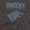 Men's Game Of Thrones House Stark Sigil T-Shirt - 2 of 4
