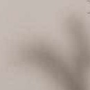 taupe, prairie dust, brown