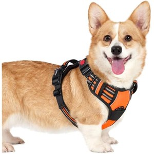 rabbitgoo Dog Harness Small Sized, No Pull Pet Harness with 3 Buckles, , Walking Reflective Pet Vest for Small Dogs, Orange, S - 1 of 1