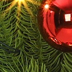 red