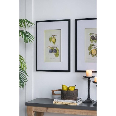 Set of 2 Black Framed Botanical Fruit Wall Art