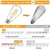 Ludomide 12Packs Vintage LED Edison Bulbs - 4 of 4