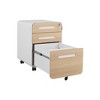 Alilang 18.00 Inch Modern Mobile File Cabinet with Locking Drawers and Rolling Casters - White - 4 of 4