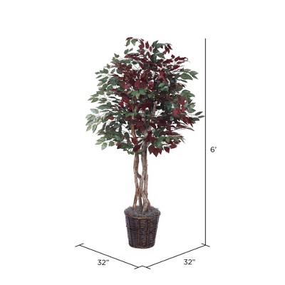 6' Luxe Silk Capensia Tree in Dark Brown Rattan Basket