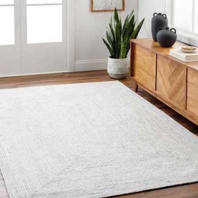Ivory Handmade Braided Rectangular Stain-resistant Area Rug 2' x 3'