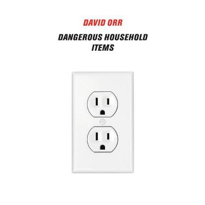 Dangerous Household Items - by  David Orr (Paperback)