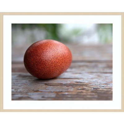 Amanti Art Egg on Wood by Tania Soderman Wood Framed Wall Art Print