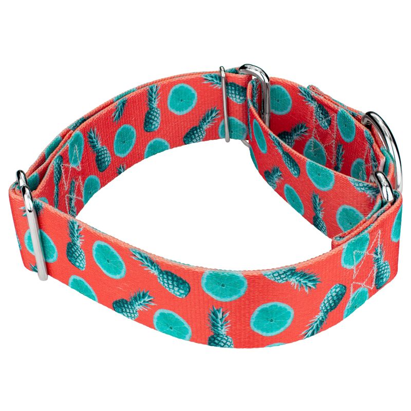 Country Brook Petz 1 1/2 Inch Tropical Tango Martingale Dog Collar, 4 of 6